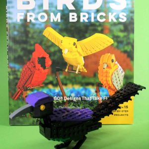 Bundle birds book + common grackle kit from LEGO® bricks