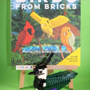 Bundle birds book + northern lapwing kit from LEGO® bricks