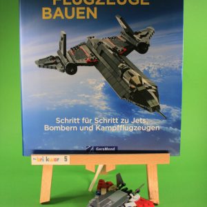 Bundle Flugzeuge-Buch + Grumman F-14 Tomcat aus LEGO®-Steinen