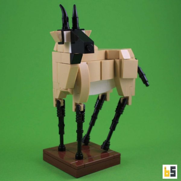 Various views of the roan antelope, kit from LEGO® bricks, created by Ekow Nimako