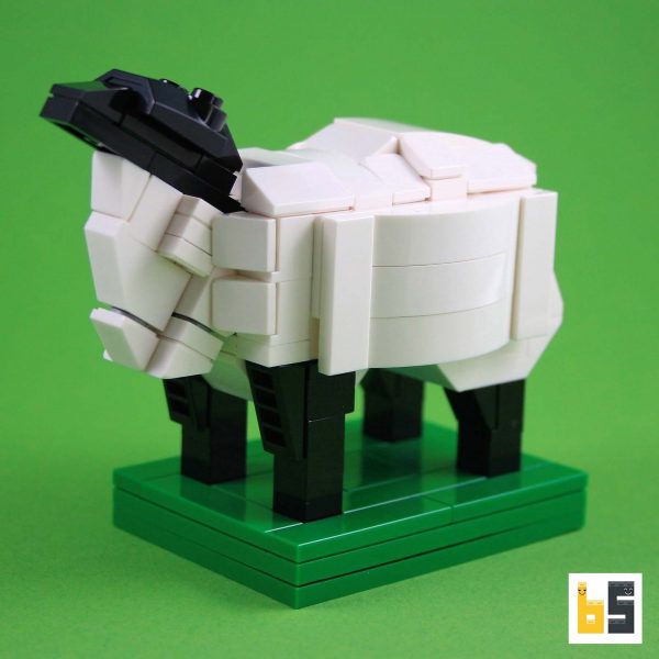 Verschiedene Ansichten des Modells Suffolk-Schaf - LEGO®-Kreation des Designers Ekow Nimako