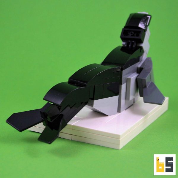 Verschiedene Ansichten des Modells Sattelrobbe - LEGO®-Kreation des Designers Ekow Nimako