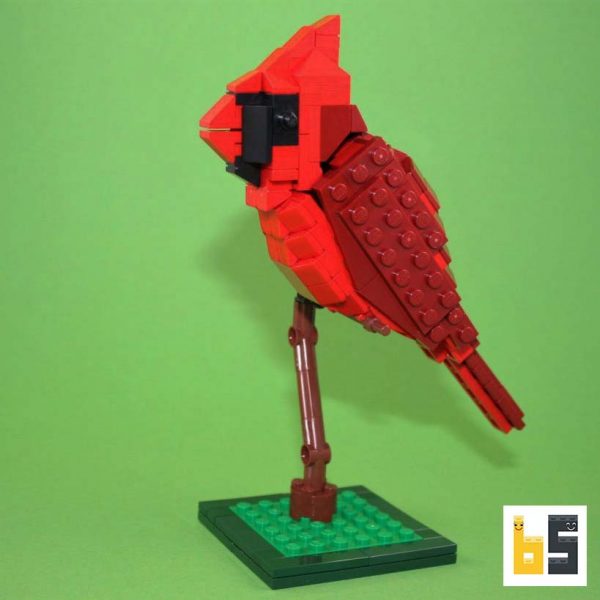 Verschiedene Ansichten des Modells Rotkardinal, eine LEGO®-Kreation des Designers Thomas Poulsom