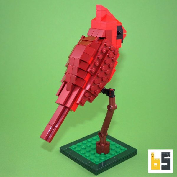 Verschiedene Ansichten des Modells Rotkardinal, eine LEGO®-Kreation des Designers Thomas Poulsom