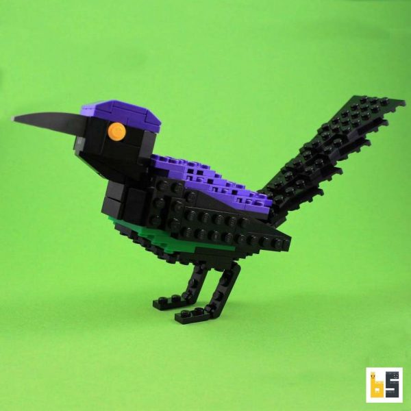 Verschiedene Ansichten des Modells Purpur-Grackel, eine LEGO®-Kreation des Designers Thomas Poulsom