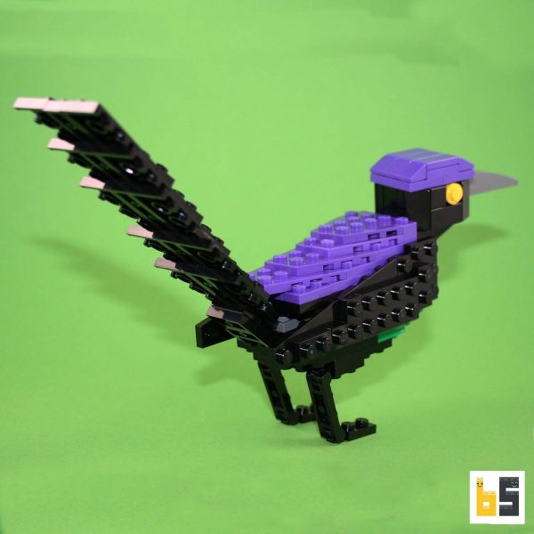 Various views of the common grackle, kit from LEGO® bricks, created by Thomas Poulsom