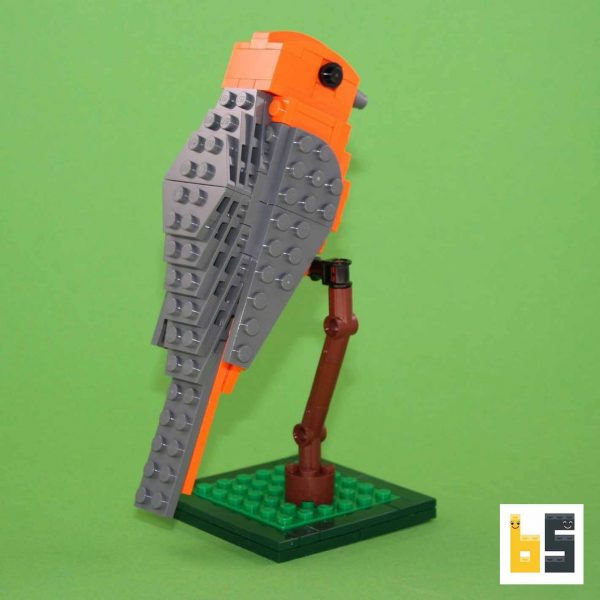 Various views of the red-capped robin-chat, kit from LEGO® bricks, created by Thomas Poulsom