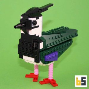 Bundle birds book + northern lapwing kit from LEGO® bricks