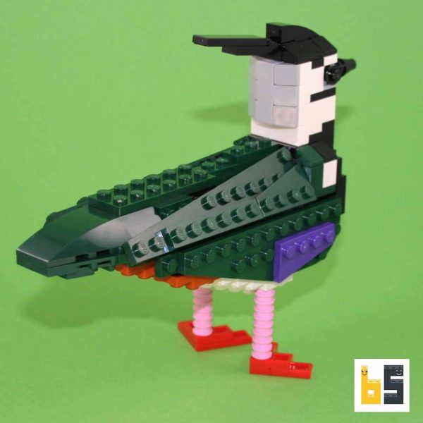 Various views of the northern lapwing, kit from LEGO® bricks, created by Thomas Poulsom