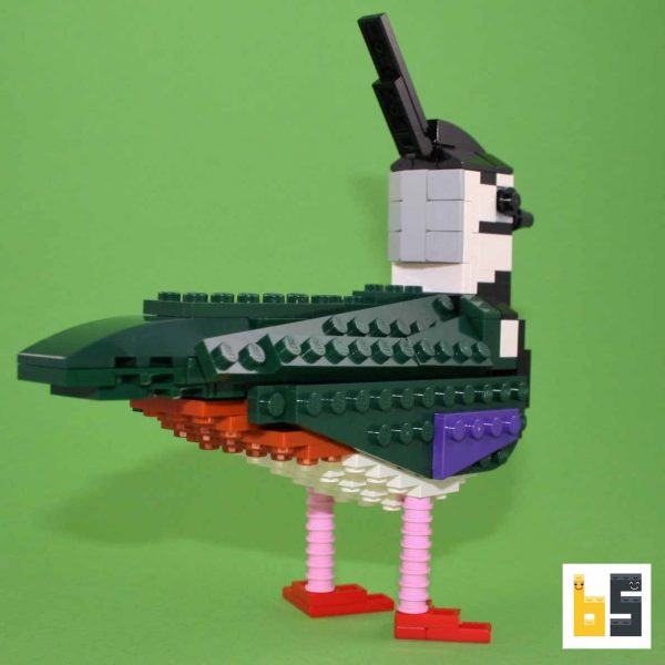 Various views of the northern lapwing, kit from LEGO® bricks, created by Thomas Poulsom