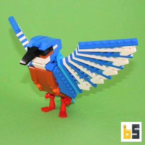 Bundle birds book + common kingfisher kit from LEGO® bricks