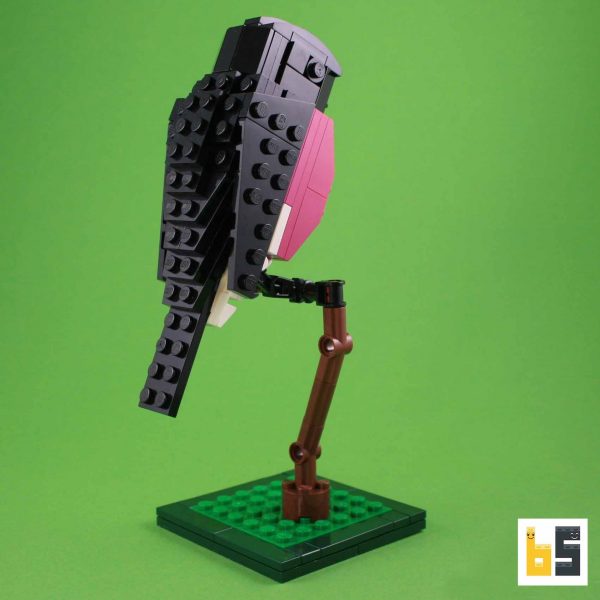 Verschiedene Ansichten des Modells Rosenbrust-Schnäpper, eine LEGO®-Kreation des Designers Thomas Poulsom