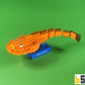 Montagu’s sea snail – kit from LEGO® bricks