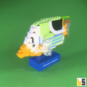 Saddle butterflyfish – kit from LEGO® bricks